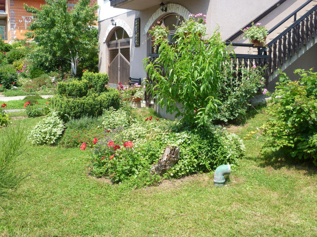 Apartments Tratincica Seliste Dreznicko Bagian luar foto