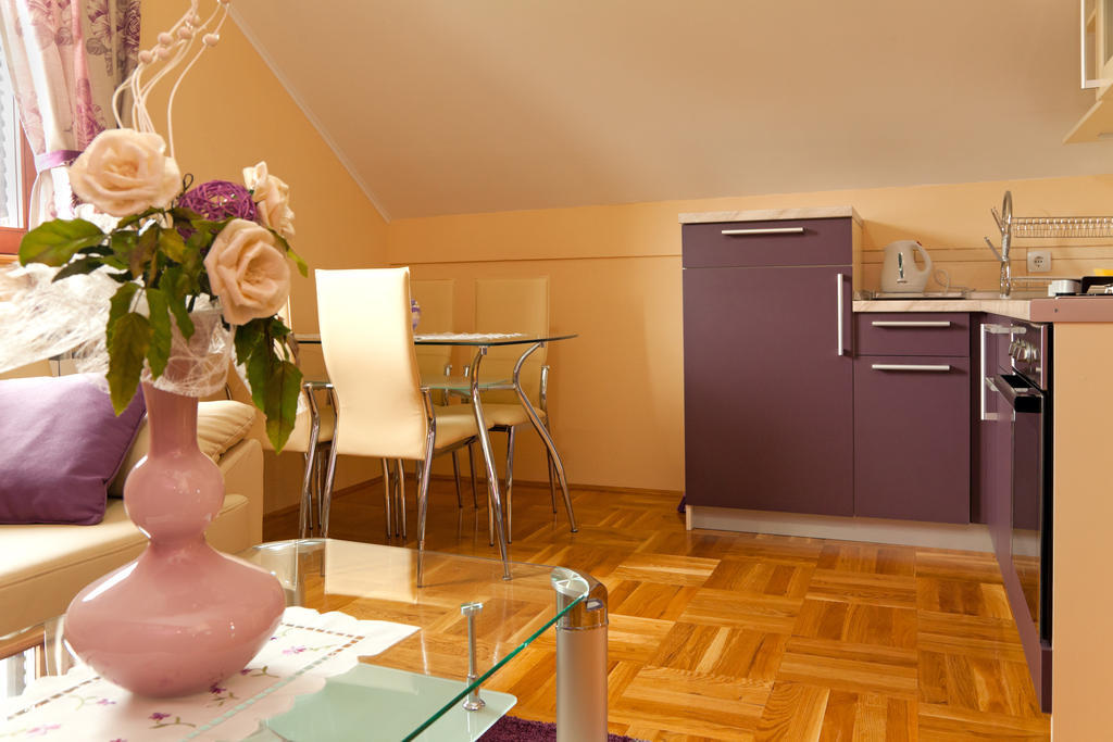 Apartments Tratincica Seliste Dreznicko Ruang foto