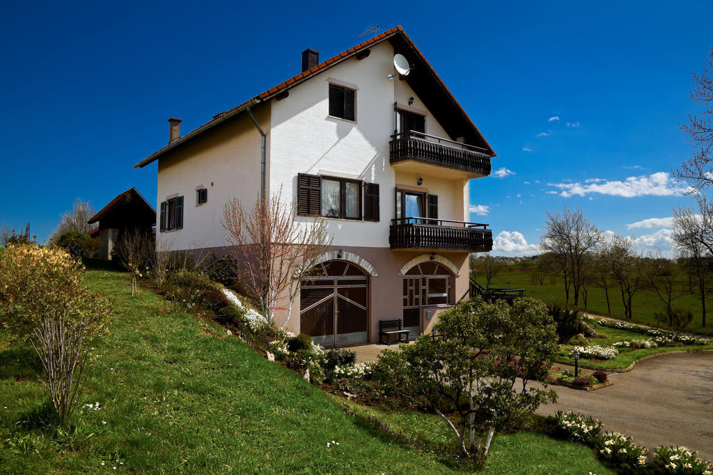 Apartments Tratincica Seliste Dreznicko Bagian luar foto