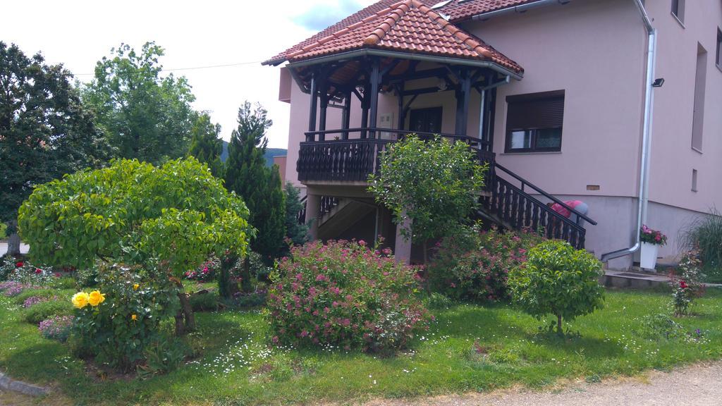 Apartments Tratincica Seliste Dreznicko Bagian luar foto