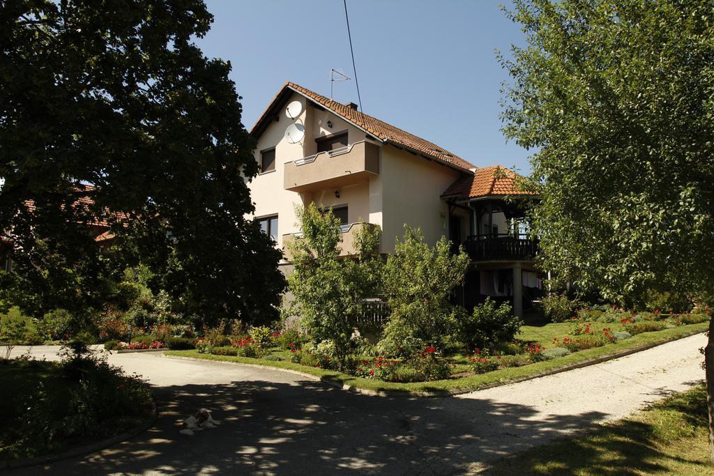 Apartments Tratincica Seliste Dreznicko Bagian luar foto