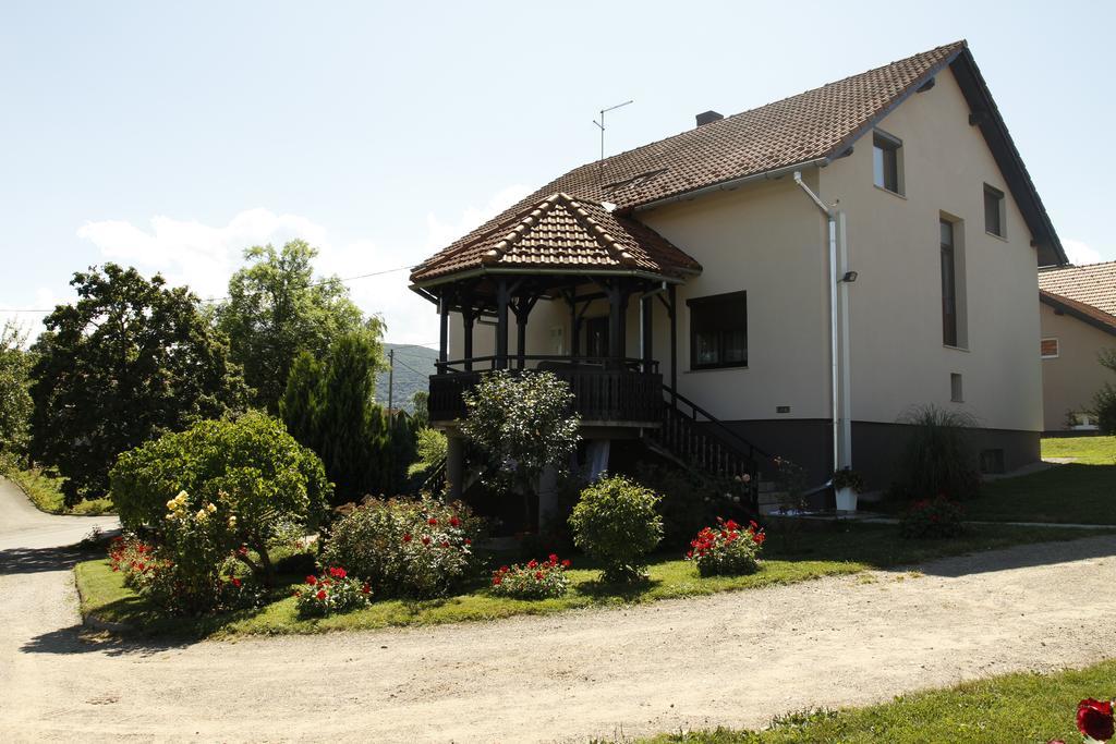 Apartments Tratincica Seliste Dreznicko Bagian luar foto